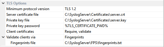 Syslog Collector Configuration - Network Interface - TLS Options