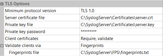 Server Configuration - Network Interface - TLS Options